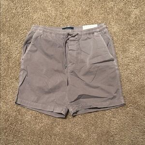 American Eagle 7” Lived-In Trekker Short Gray